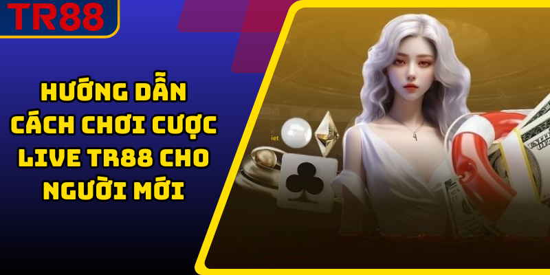 Hướng dẫn cách chơi cược live TR88 cho người mới