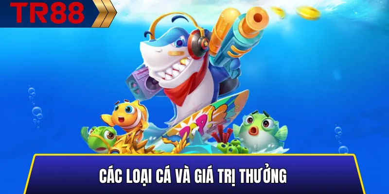 Minh họa các loại cá và giá trị thưởng trong TR88