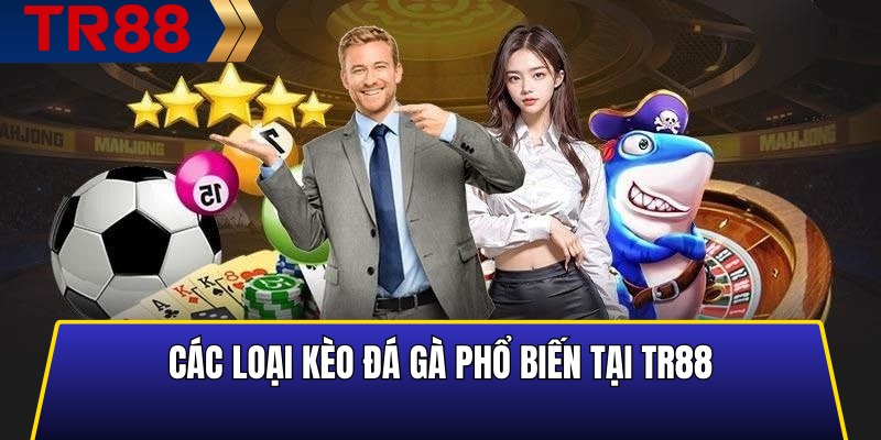 Các loại kèo đá gà phổ biến tại TR88