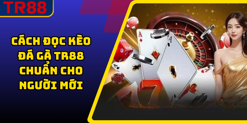 Cách đọc kèo đá gà TR88 chuẩn cho người mới