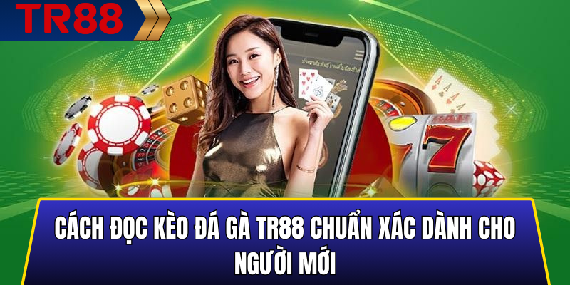 Cách Đọc Kèo Đá Gà TR88 Chuẩn Xác Dành Cho Người Mới