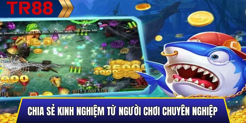 Chia sẻ kinh nghiệm săn boss bắn cá TR88 từ tác giả Phương Chi