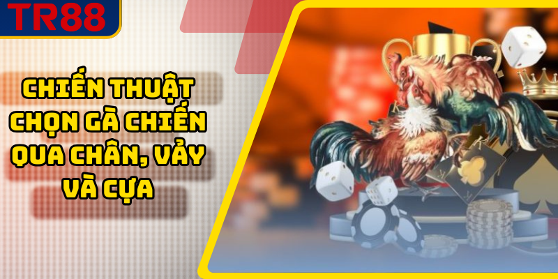 Chiến thuật chọn gà chiến qua chân, vảy và cựa