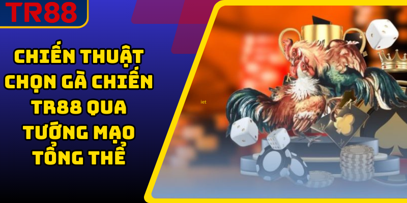 Chiến thuật chọn gà chiến TR88 qua tướng mạo tổng thể