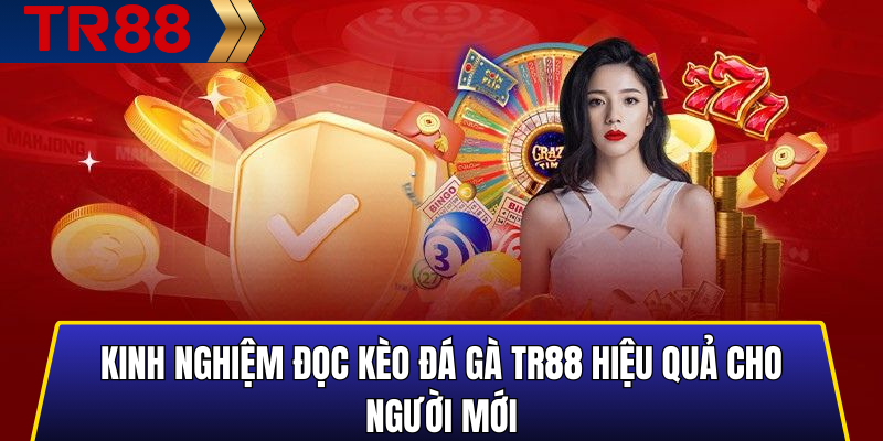 Kinh nghiệm đọc kèo đá gà TR88 hiệu quả cho người mới