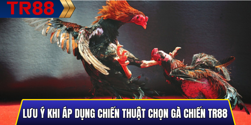 Lưu ý khi áp dụng chiến thuật chọn gà chiến TR88