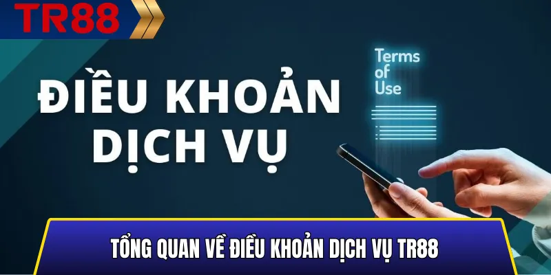 Tổng quan về Điều Khoản Dịch Vụ TR88