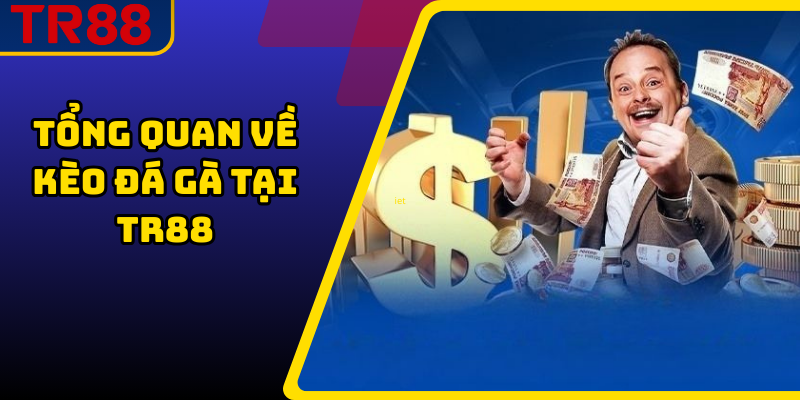 Tổng quan về kèo đá gà tại TR88