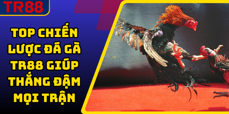 Top Chiến Lược Đá Gà TR88 Giúp Thắng Đậm Mọi Trận