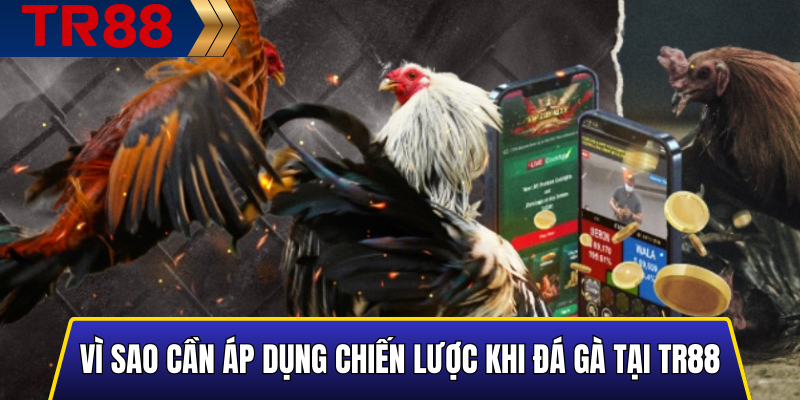 Vì sao cần áp dụng chiến lược khi đá gà tại TR88